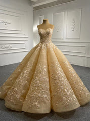 Champagne Ball Gown Sweetheart Appliques Prom Dresses