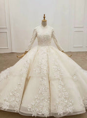 Champagne Ball Gown Tulle Appliques Long Sleeve Wedding Dresses