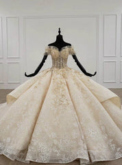 Champagne Ball Gown Tulle Sequins Appliques Off the Shoulder Luxury Wedding Dresses