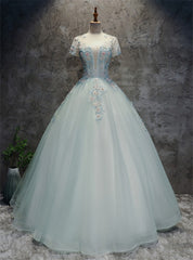 Light Blue Tulle Backless Short Sleeve Appliques Quinceanera Dress