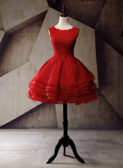 Short Homecoming Dresses Organza Homecoming Dresses Lace Homecoming Dresses