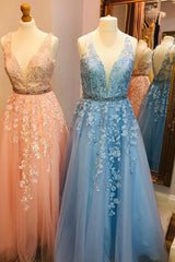 Elegant V Neck Appliques A-Line Long Tulle Prom Dress